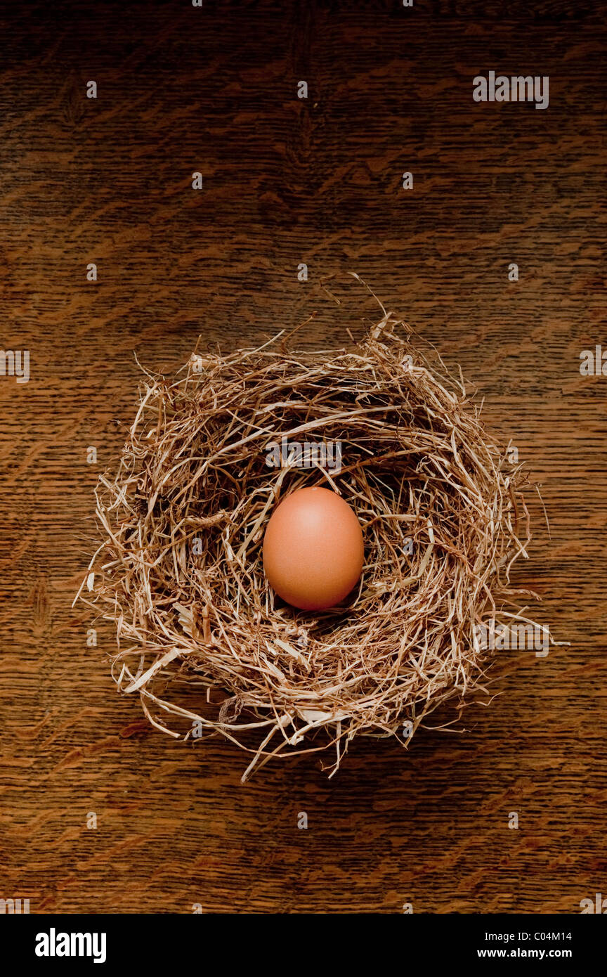 Einzelne Hühnerei in Heu nest Stockfoto