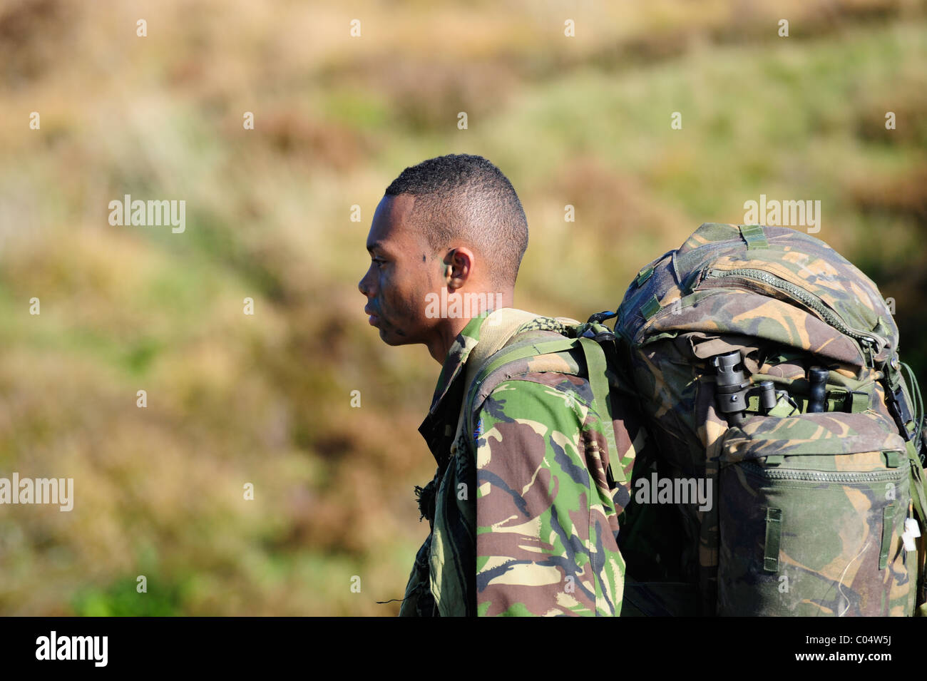 CAMBRIAN PATROL Übung ist das wichtigste patrouillierenden Event von der britischen Armee, die in Wales statt und moderiert von 160 (W)-Brigad Stockfoto