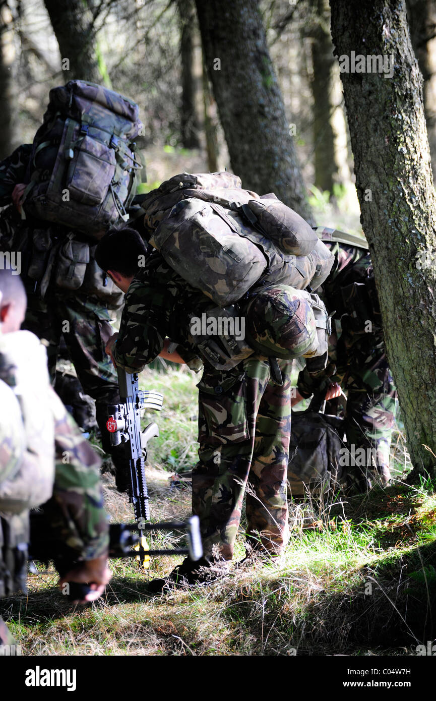 CAMBRIAN PATROL Übung ist das wichtigste patrouillierenden Event von der britischen Armee, die in Wales statt und moderiert von 160 (W)-Brigad Stockfoto