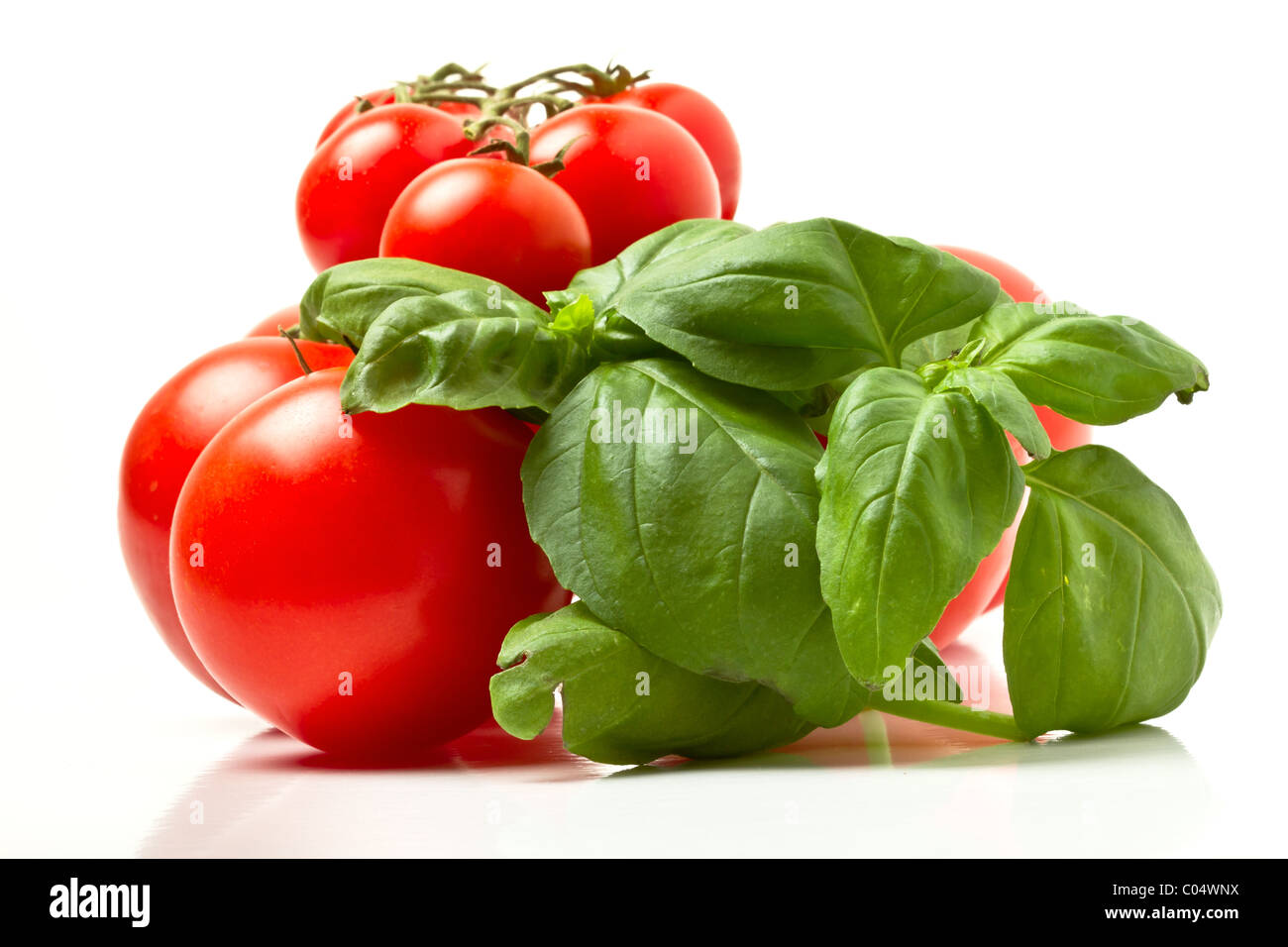 Tomaten und Basilikum aus niedrigen Perspektive isoliert auf weiss. Stockfoto