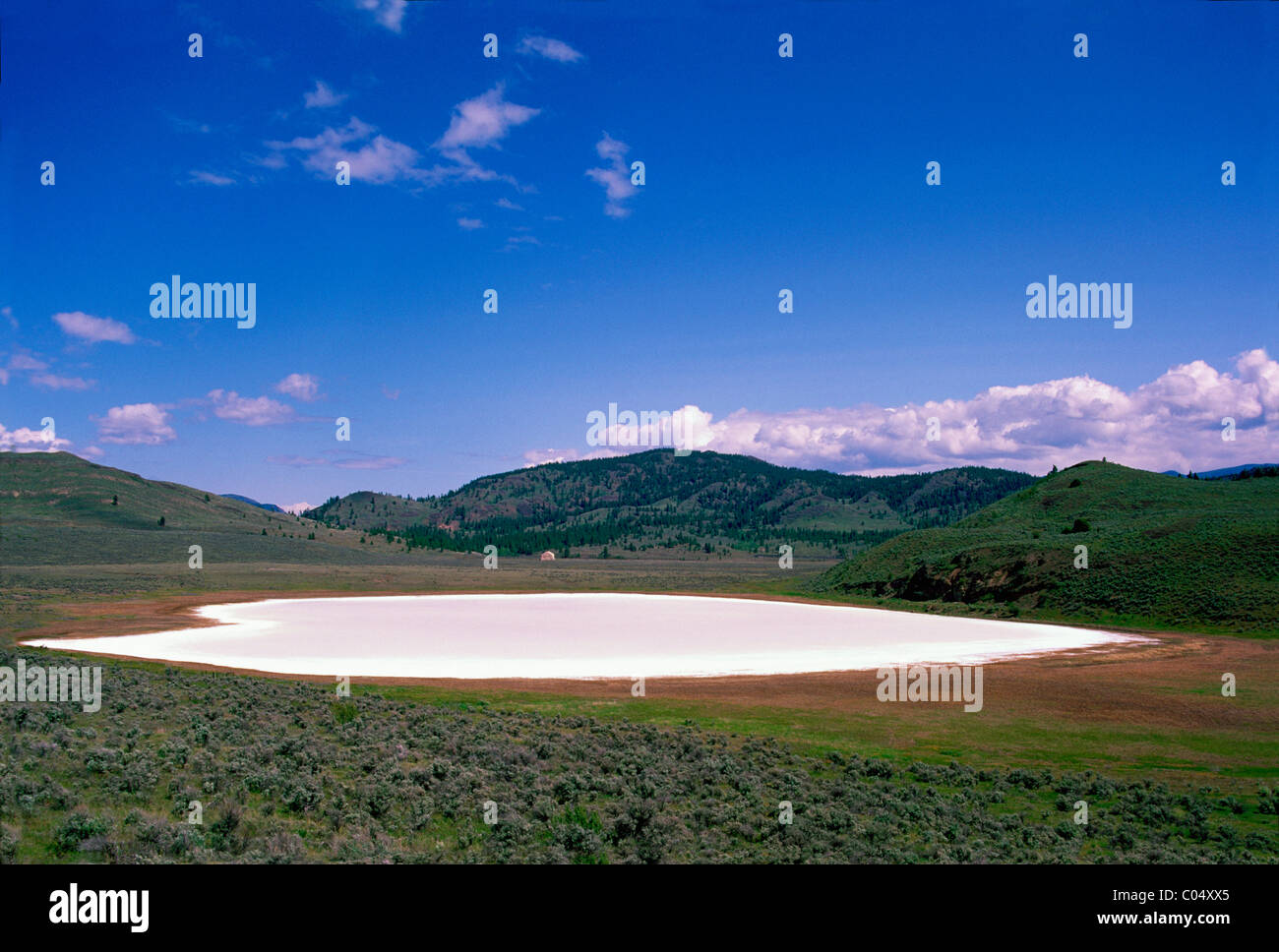 White Lake, South Okanagan Valley in der Nähe von Oliver, BC, Britisch-Kolumbien, Kanada Stockfoto