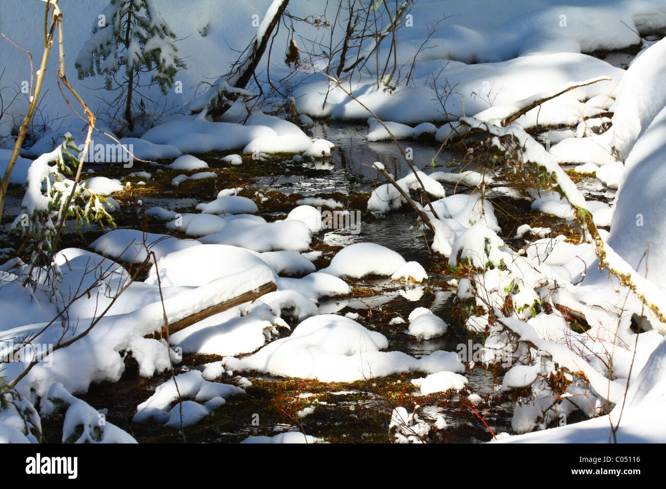 Fließendes Wasser aus einem kleinen Bergquelle und Creek, umgeben von kalten Winterschnee. Stockfoto