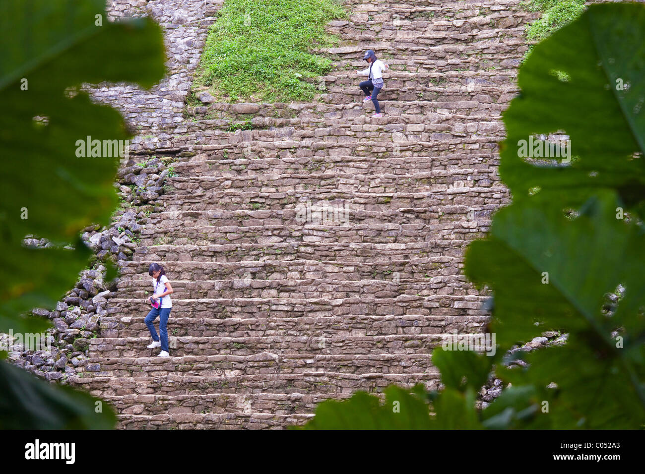 Tempel der Schädel, Palenque, Chiapas, Mexiko Stockfoto