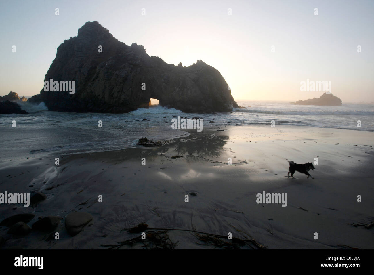 Point Lobos State Reserve in der Nähe von Carmel, Kalifornien. Stockfoto