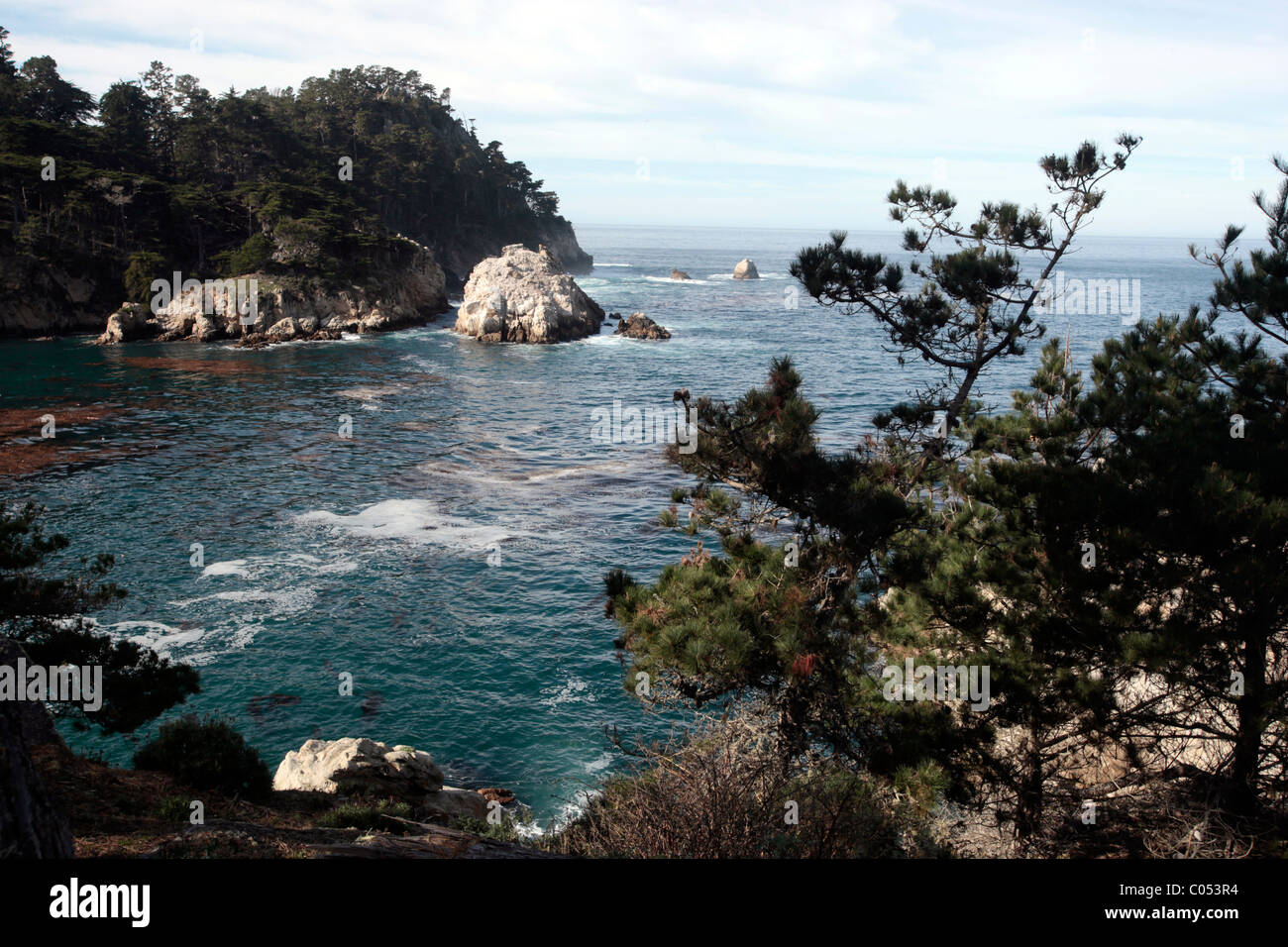 Point Lobos State Reserve in der Nähe von Carmel, Kalifornien. Stockfoto