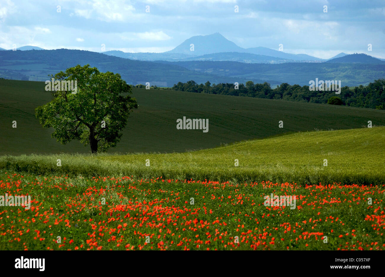 Französische Landschaft - Puy-de-Dôme, Vulkan und Landschaft in der Region Auvergne, Frankreich. Stockfoto