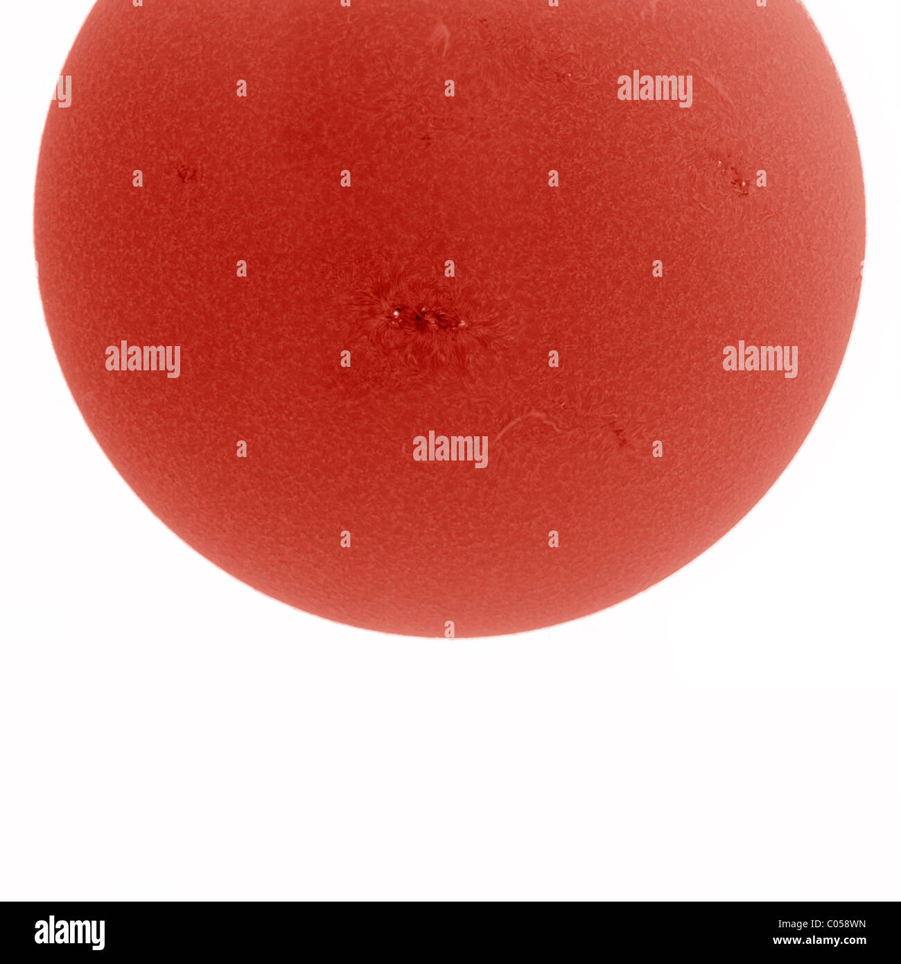 Scheibe der Sonne mit Sonnenflecken und aktiven Region 11158 im Februar 2011 Stockfoto