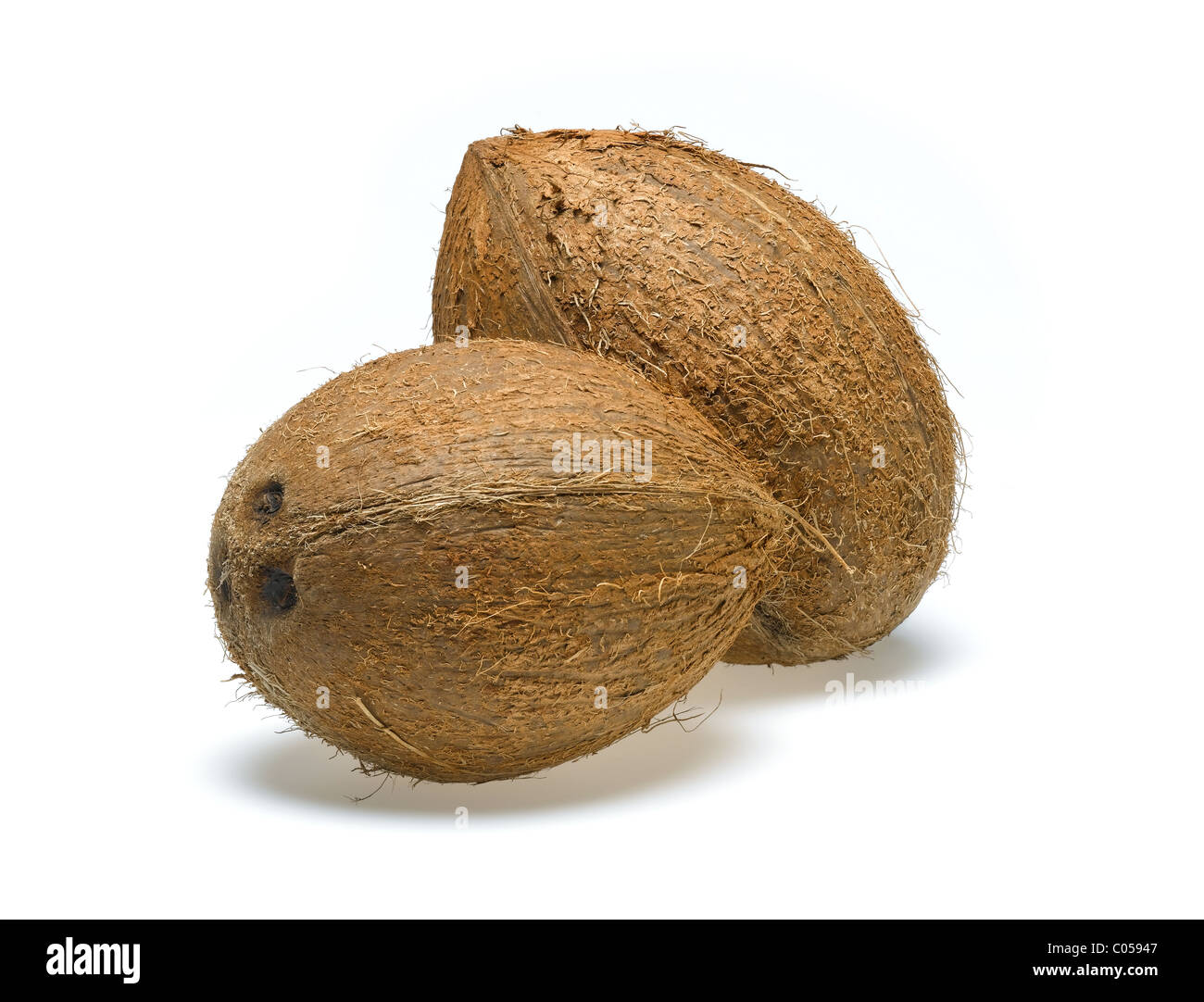 Kokosnuss Stockfoto