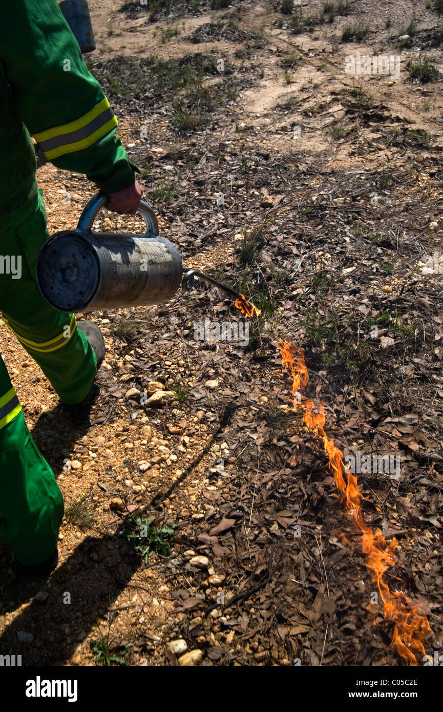 DSE CFA Kraftstoffreduzierung brennen Victoria Australien Stockfoto