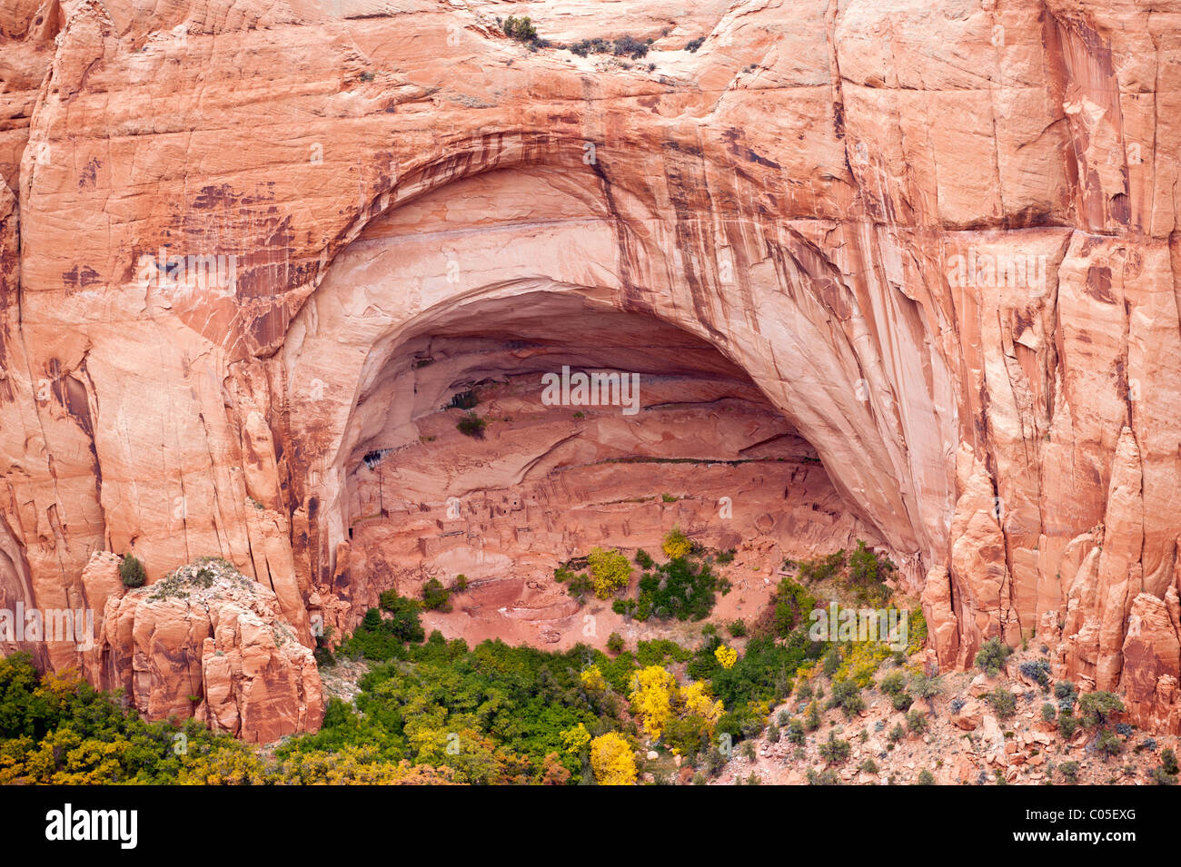 Navajo National Monument Betatakin bedeutet "Haus gebaut auf einem Felsvorsprung" Dies ist ein Beispiel für eine Indian Pueblo um 1250 gebaut Stockfoto