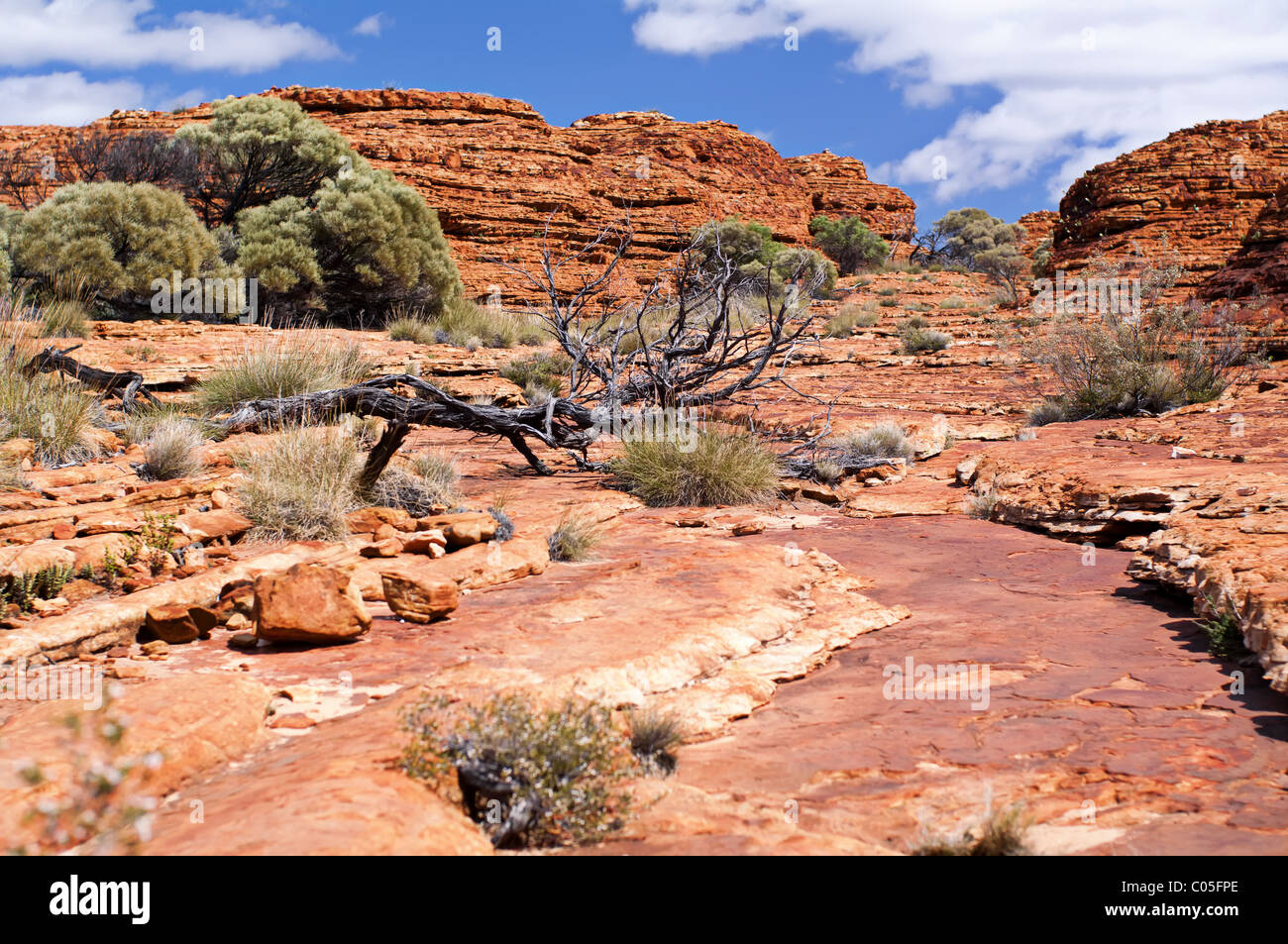 Outback-Landschaft als Weitwinkel mit Hügeln und einem Tal Stockfoto