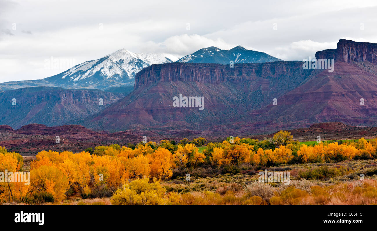 Panorama der La Sal Mountains und Tafelberge im Herbst in der Nähe von Moab Utah USA Stockfoto