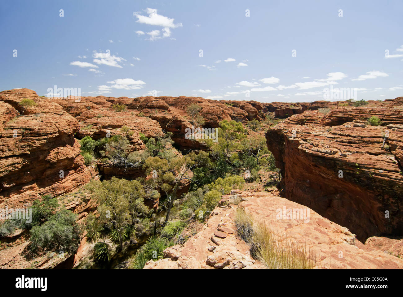 Outback-Landschaft als Weitwinkel mit Hügeln und einem Tal Stockfoto