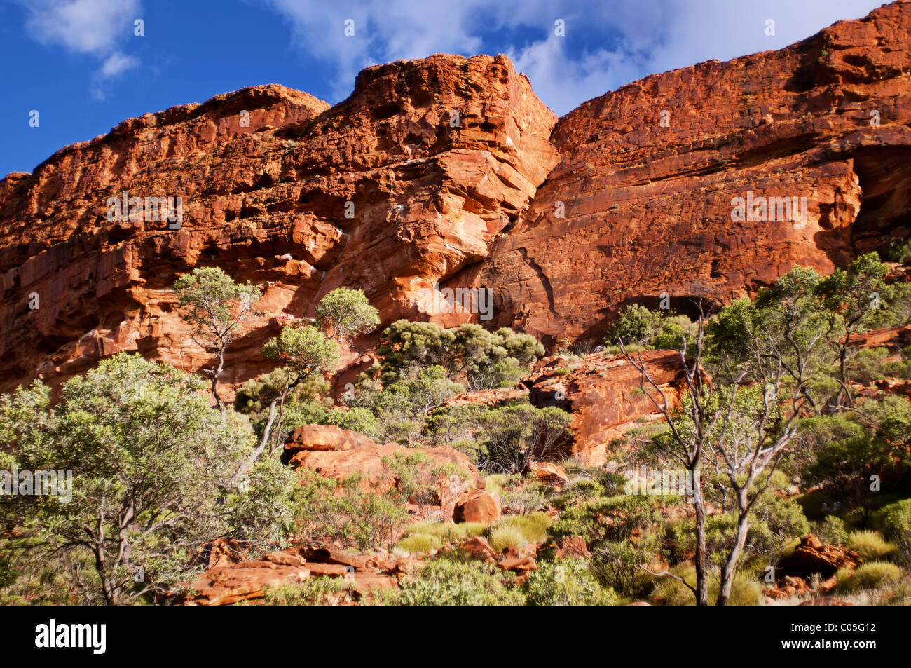 Outback-Hügel in Zentral-Australien Stockfoto