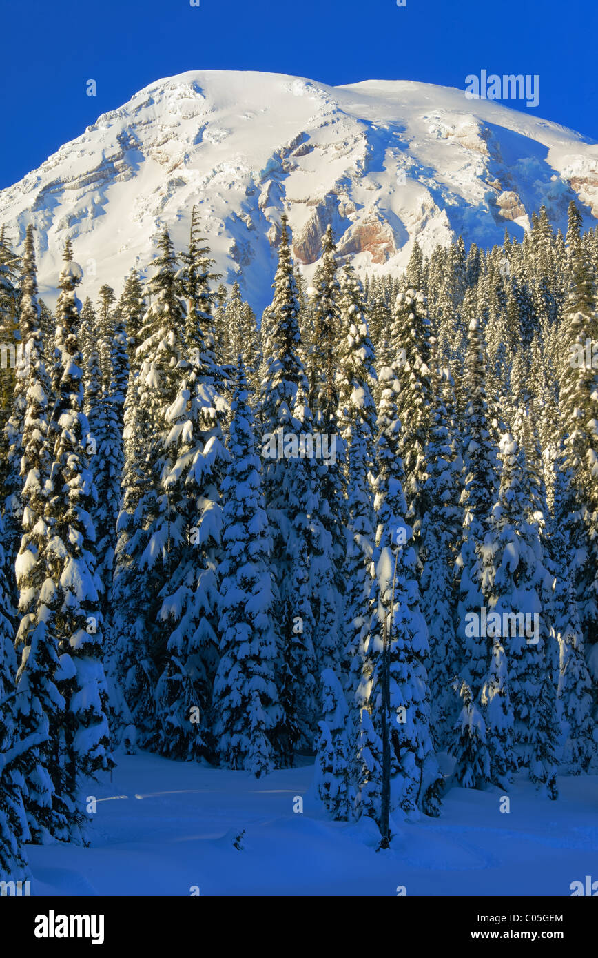 Mount Rainier an Reflexion Seen im Winter Stockfoto