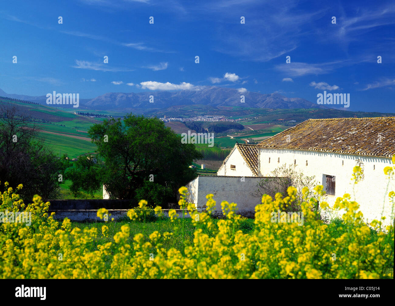 Spanien, Andalusien, ziemlich Gebäude und Blick nach Alhama de Granada Stockfoto