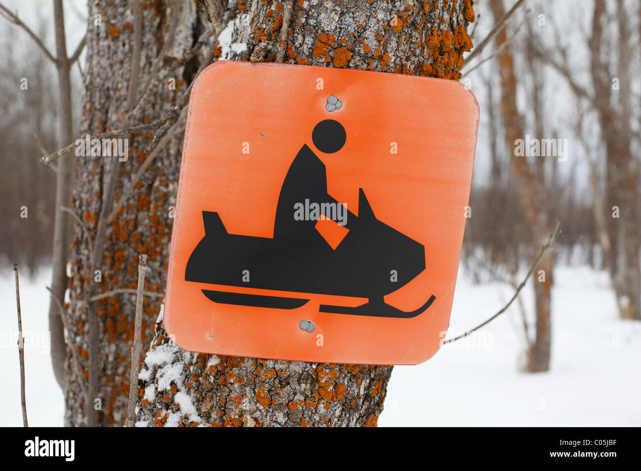 Ein Schneemobil Zeichen genagelt an einen Baum im Norden von Minnesota, USA. Stockfoto