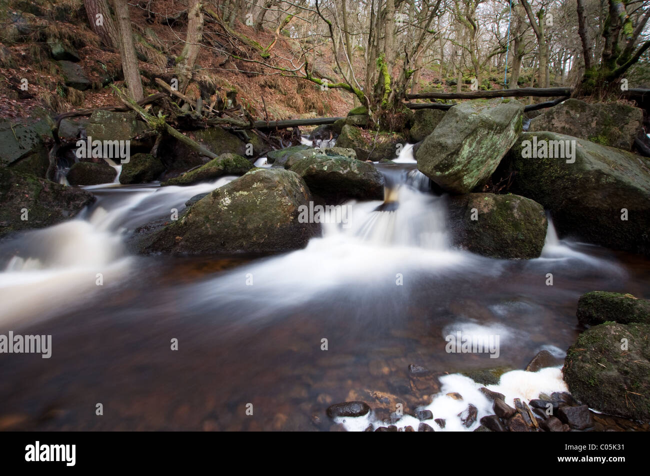 Burbage Bach läuft über Felsen und durch Padley Schlucht in den Peak District Nationalpark Derbyshire East Midlands Uk Stockfoto