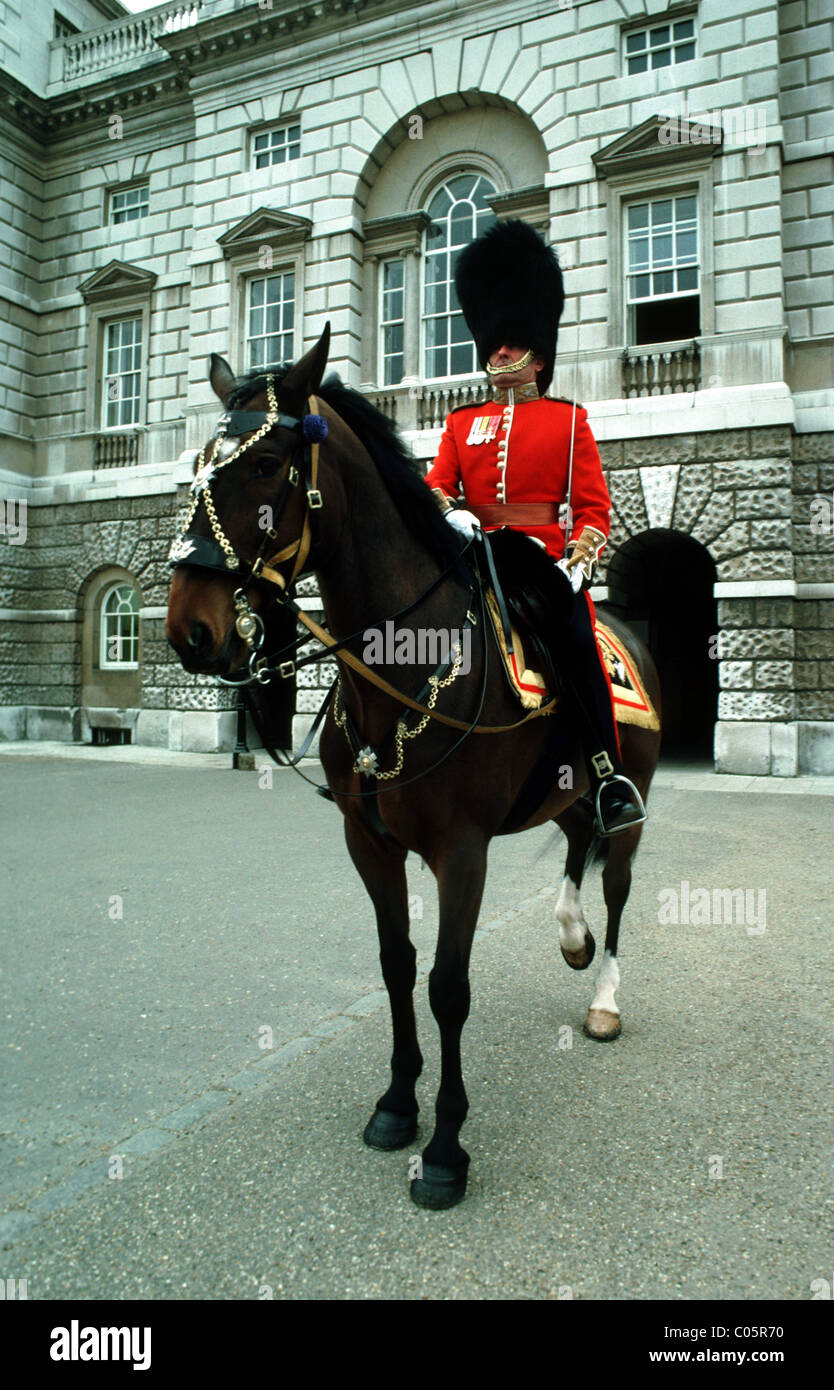 Scots Guard und Pferd, Horse Guards Parade Stockfoto