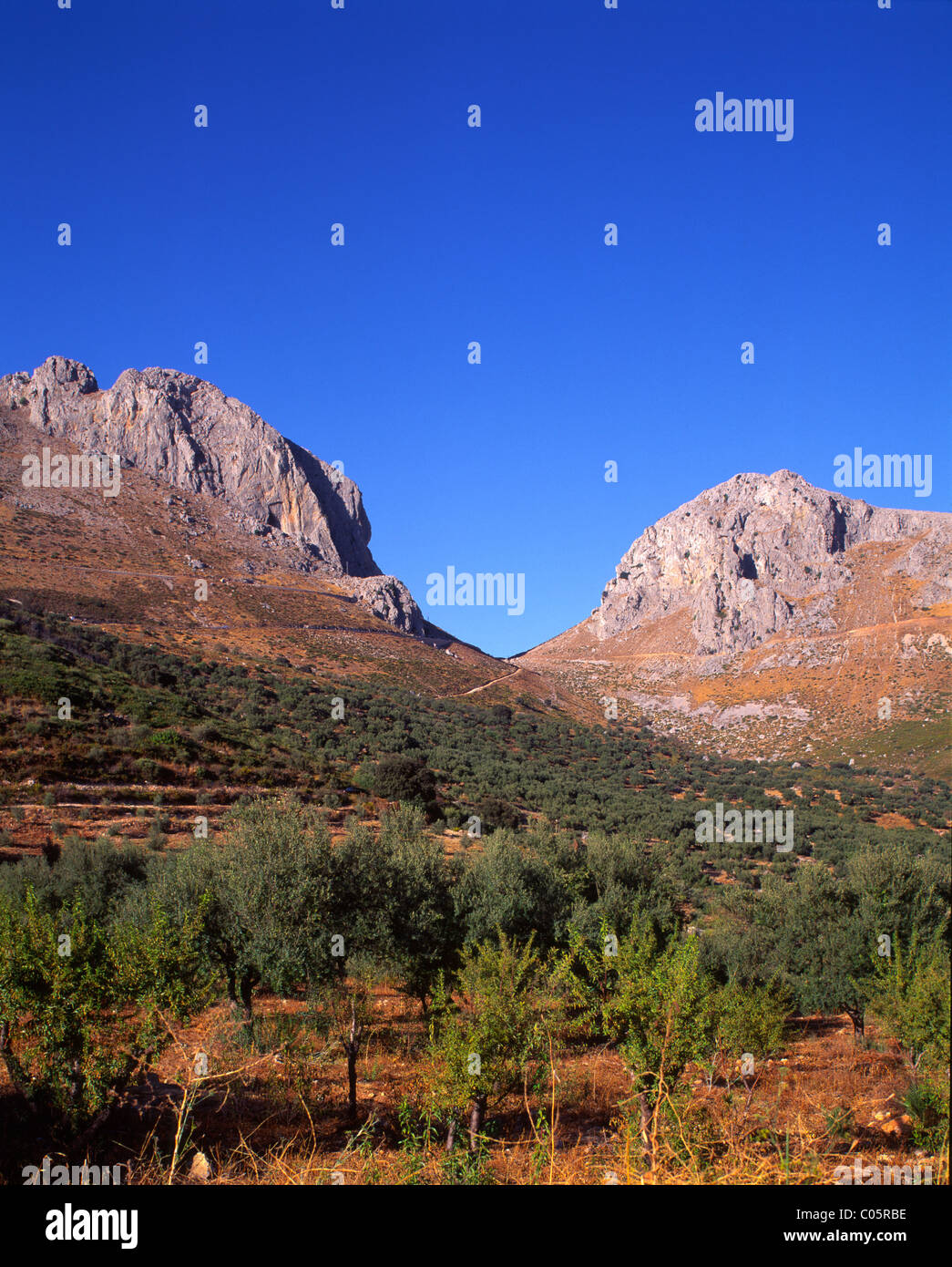 Spanien, Andalusien, Region Axarquia, Zaffraya Pass Stockfoto