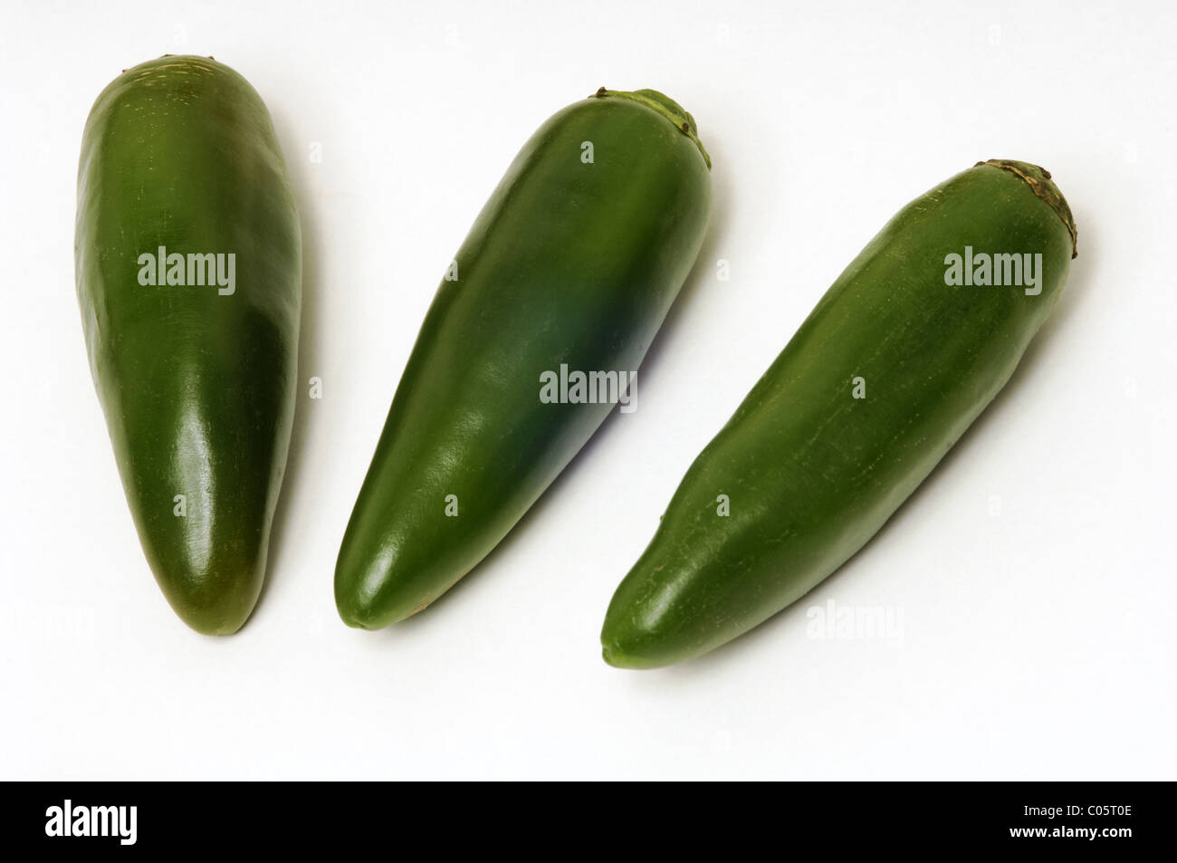 Jalapeno Chilis auf weißem Hintergrund Stockfoto