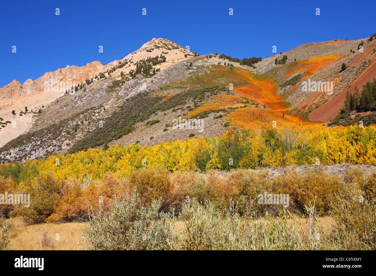 Herrliche gelbe, orange und grüne Berge in den Umgebungen der Northlake Stockfoto