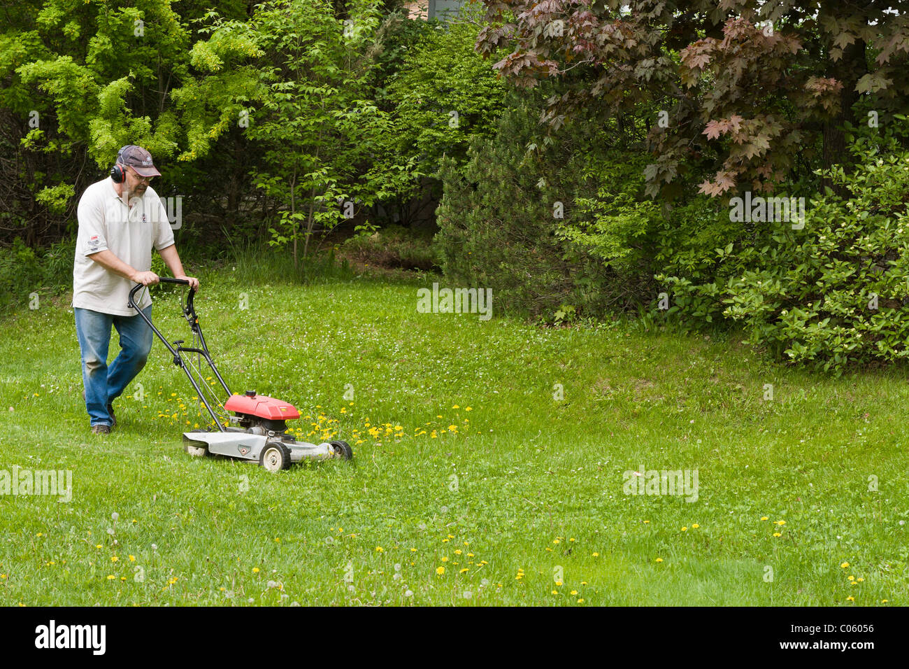 Frühling, Rasen schneiden schieben. Ein Mann mäht seinen üppigen grünen  Rasen mit einem gasbetriebenen Rasenmäher. Er trägt Gehörschutz  Stockfotografie - Alamy