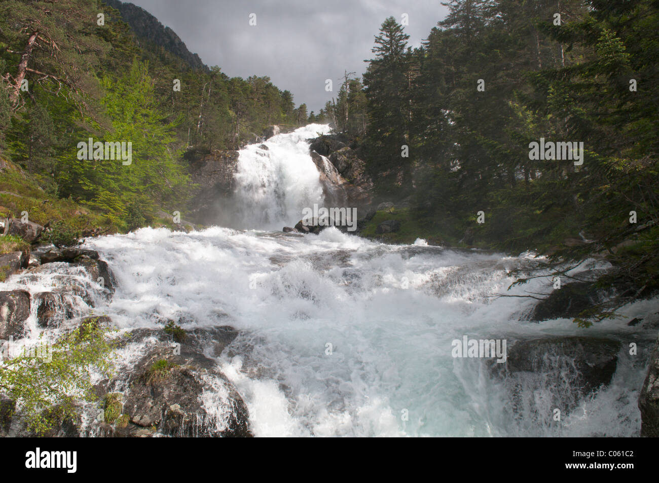 Wasserfälle bei Pont d'Espagne. In der Nähe von cauterets. Park National des Pyrenäen, in den Pyrenäen, Frankreich. Juni. Stockfoto