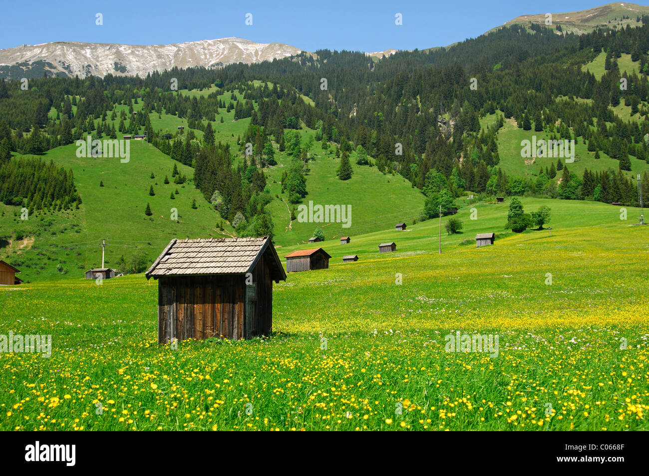 Scheune auf einer Wiese in der Nähe von Laehn, Tiroler Zugspitzarena, Tirol, Austria, Europe Stockfoto