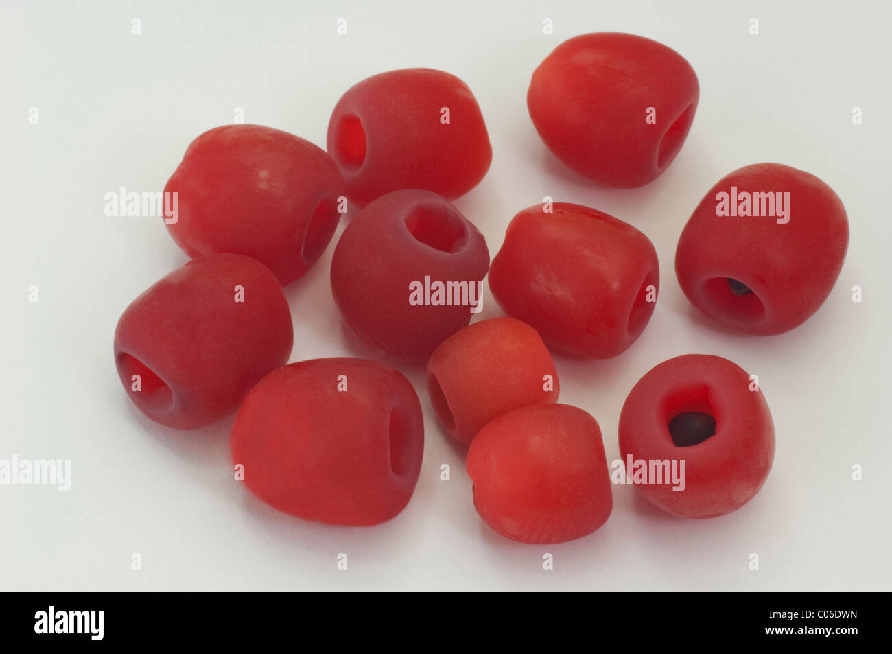 Eiben, englische Eibe (Taxus Baccata) die so genannte Frucht. Stark  vernderte Samen Kegel mit einem einzigen Samen, umgeben von einem aril  Stockfotografie - Alamy