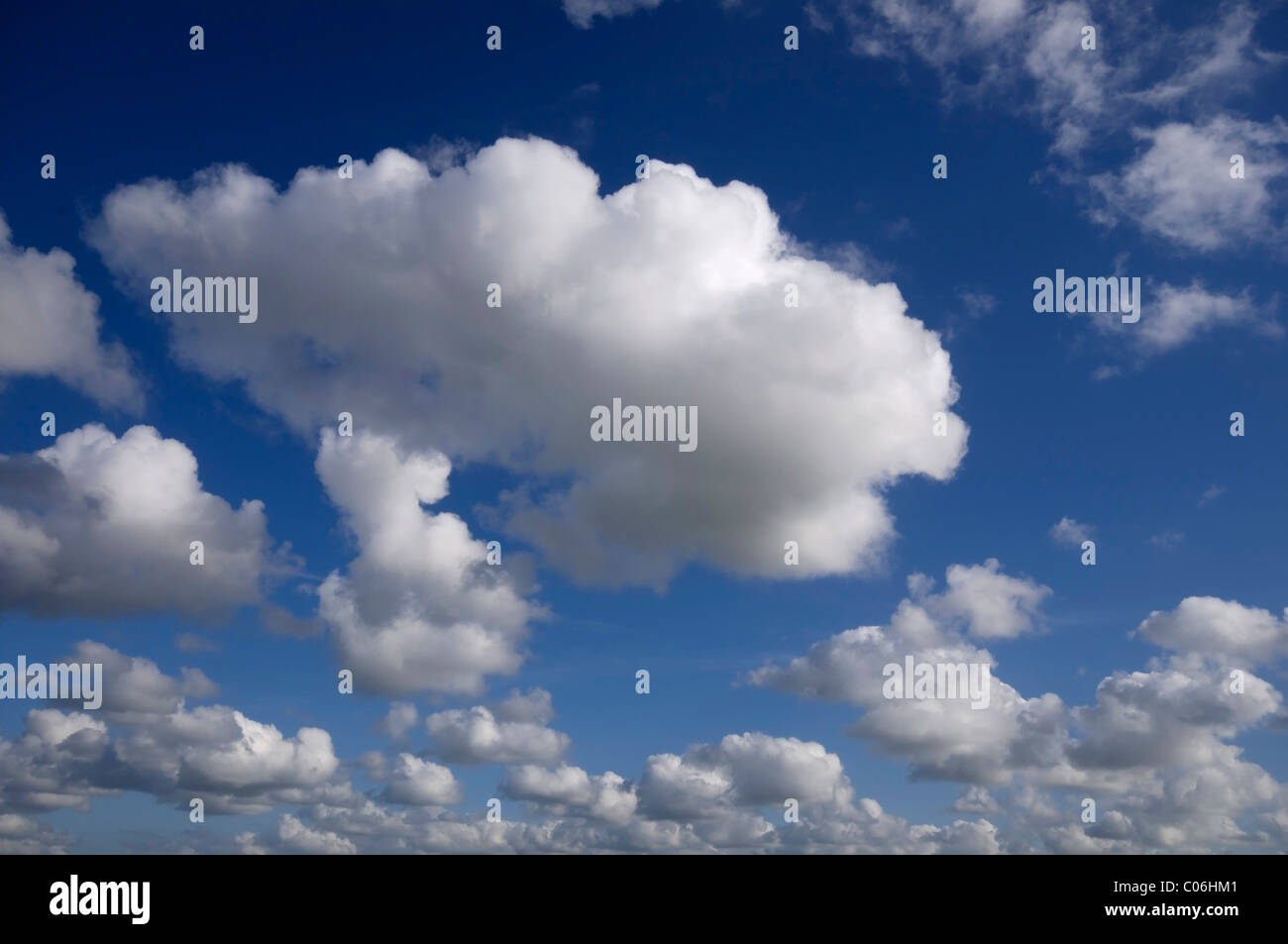 Sonnendurchflutetes Cumulus-Wolken am blauen Himmel Stockfoto