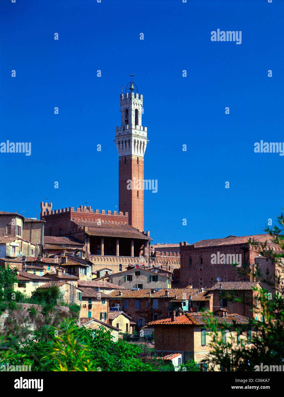 Italien, Toskana, Siena, Blick Richtung Torre Del Mangia Stockfoto