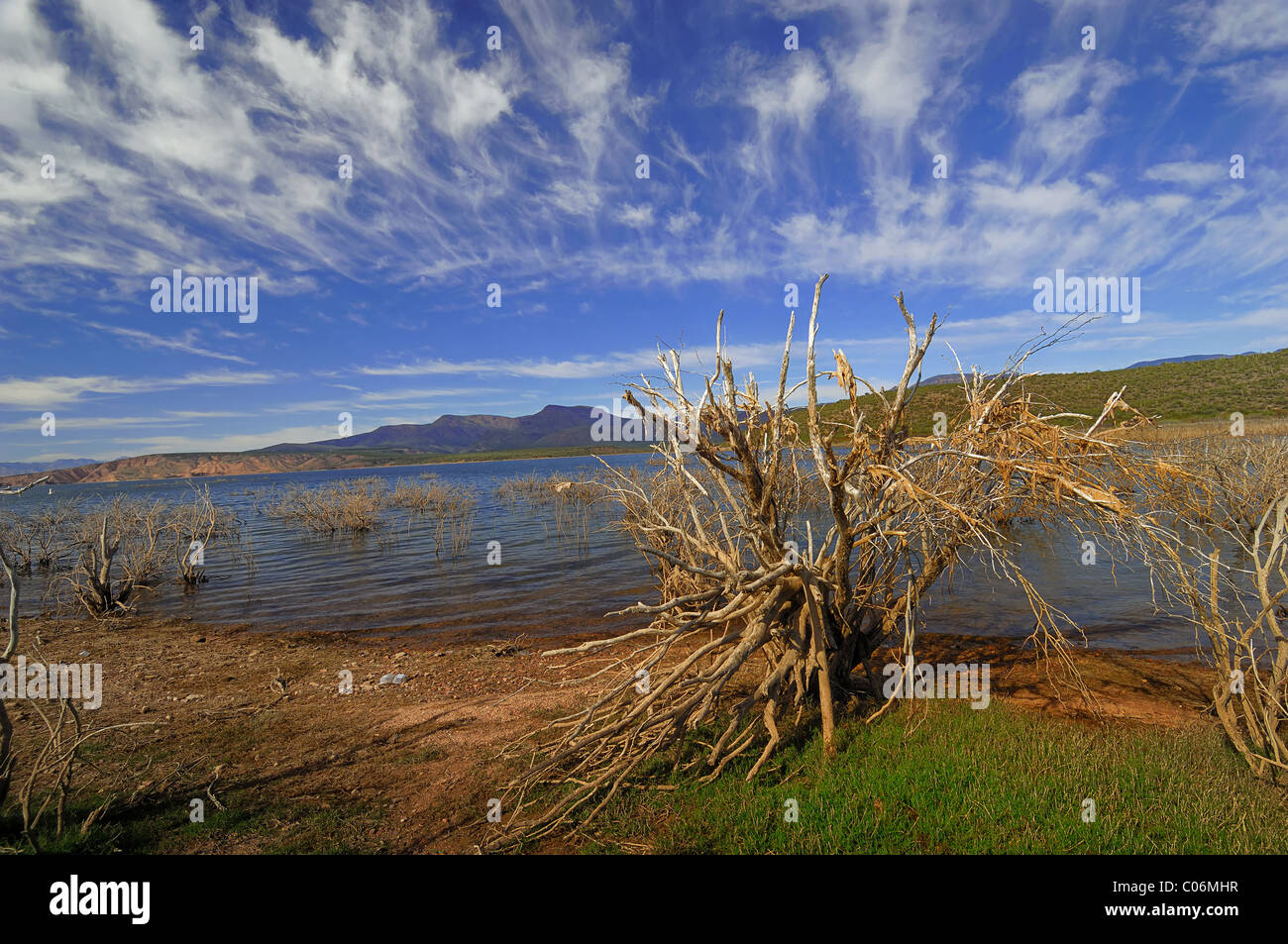 Theodore Roosevelt Lake (in der Regel Roosevelt Lake, manchmal Lake Roosevelt genannt) ist ein großes Reservoir in Arizona Stockfoto