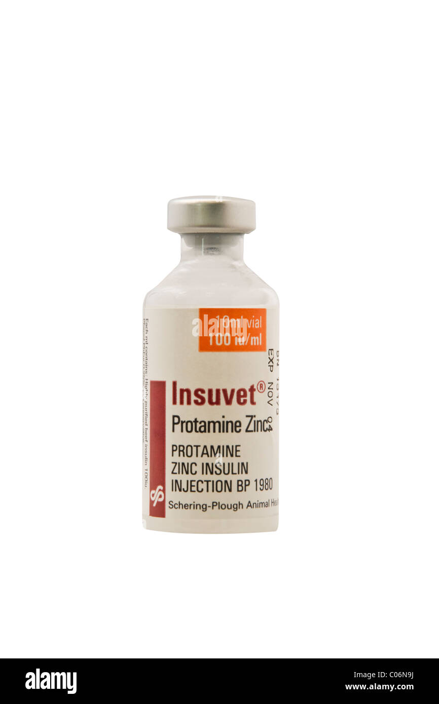 Insuvet. Eine Flasche Insulin für Diabetiker Hunde Stockfoto