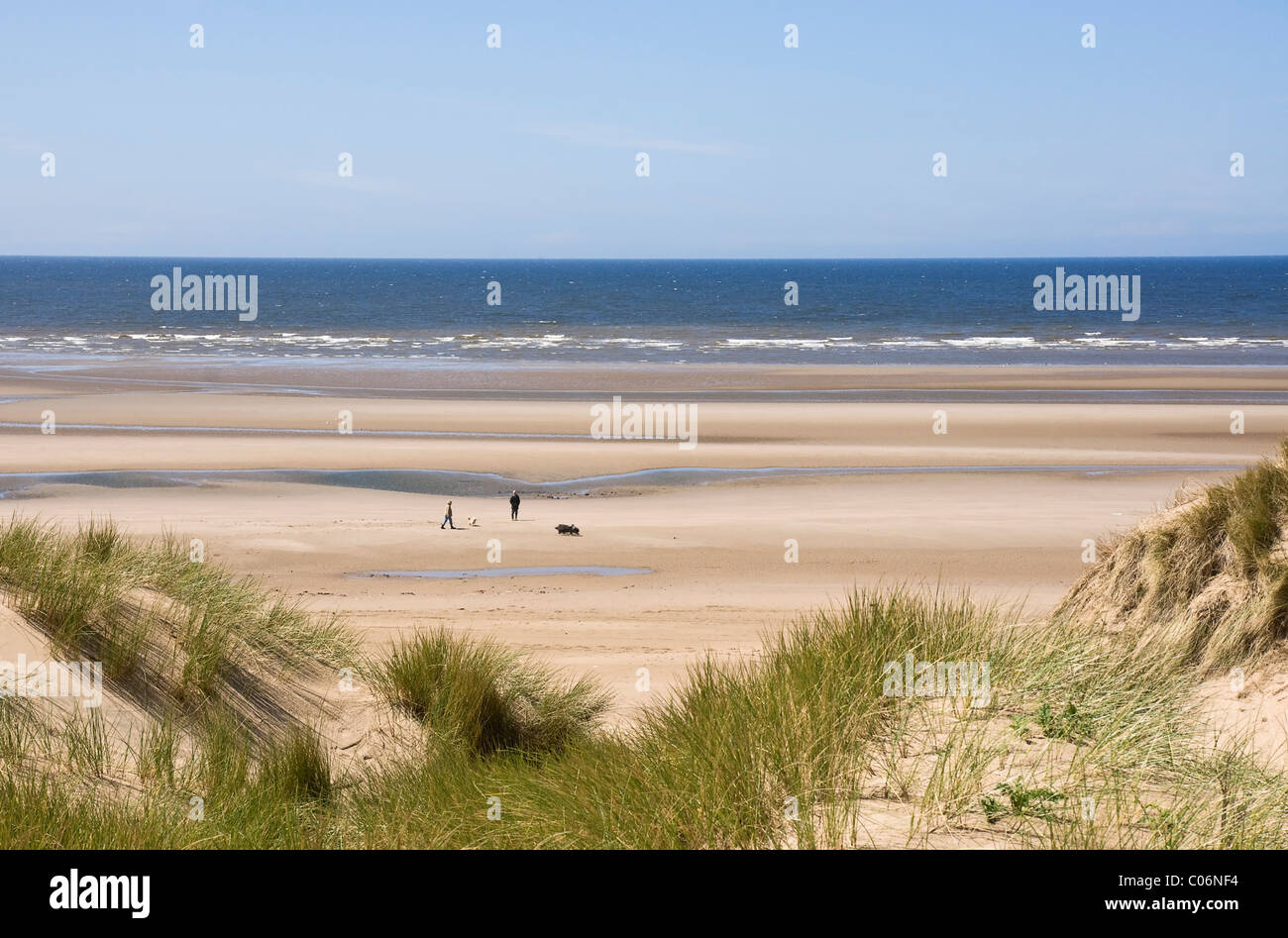 Strand und Dünen in Formby, Lancashire. Zeigt ein paar zwei Hunden spazieren. Stockfoto