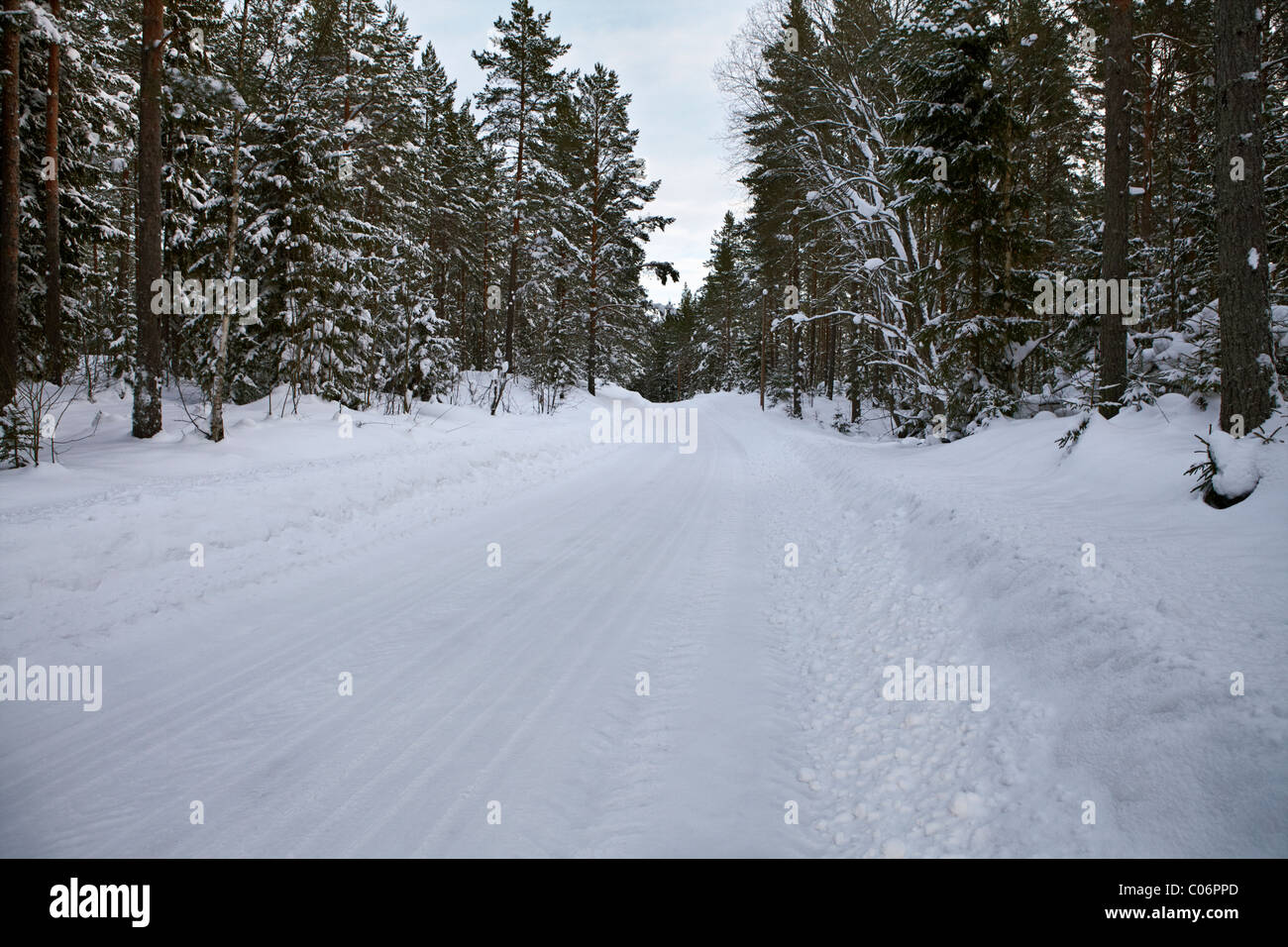 Schweden im Schnee Stockfoto