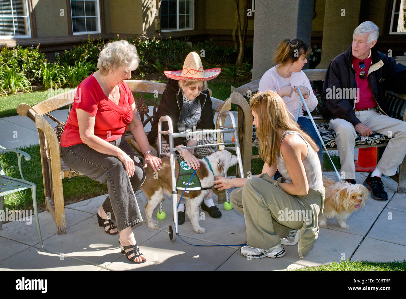 Eine Frau Liebe Freiwilligen stellt ihr Therapiehund ein Patient in einem Altersheim in Mission Viejo, Kalifornien. Stockfoto