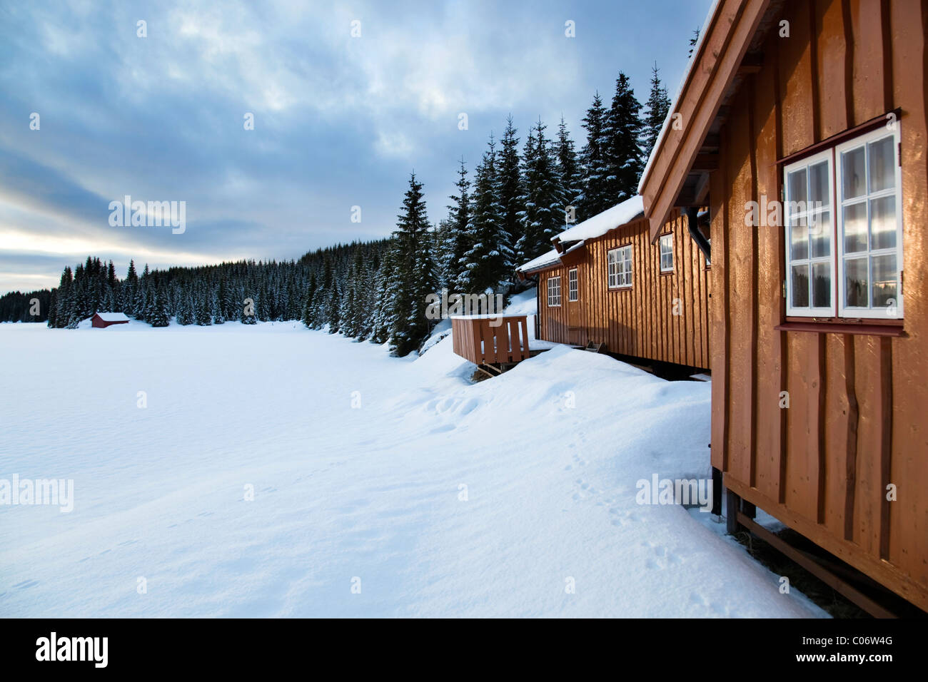 Wald im Schnee; Vogel-Futterstation; Norwegen Stockfoto