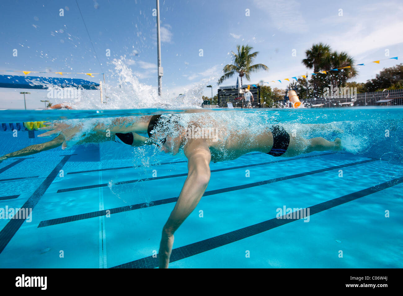 Schwimmer trainieren Sie in Vorbereitung auf Olympia-Trials und anderen Wettbewerben. Stockfoto