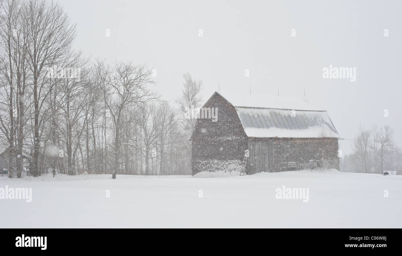 Verwitterte Scheunen im Winter Schnee-Sturm im Osten Kanadas Stockfoto