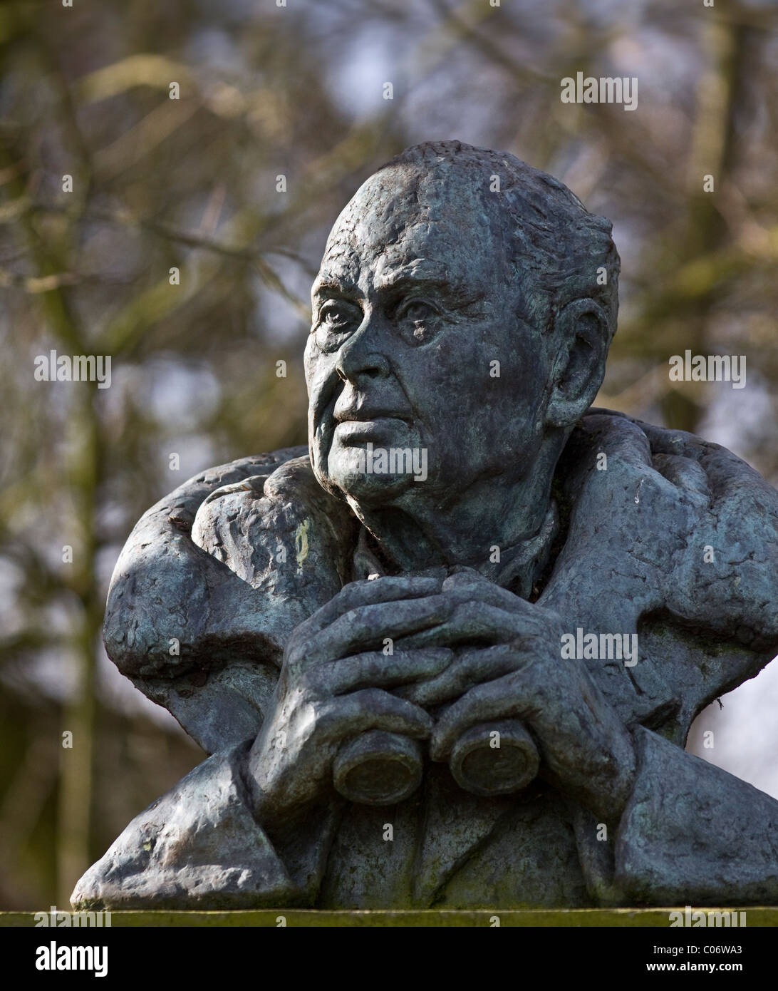 Sockel mit der Statue von Sir Peter Markham Scott, CH, CBE, DSC*, FRS, FZS ist ein britischer Ornithologe und Naturschützer in Martin Mere, Burscough, Großbritannien Stockfoto