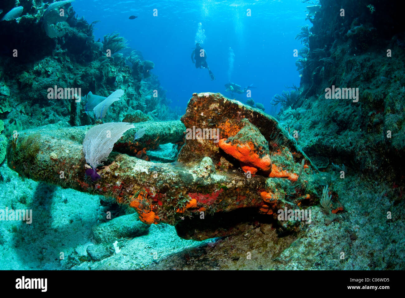 Scuba Diver anzeigen großen versunkenen Anker am Wrack der HMS Endymion, in der Nähe von Salt Cay, Turks- und Caicosinseln Stockfoto