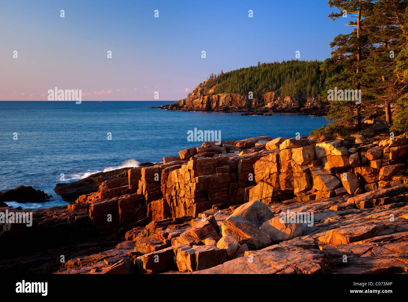 Ersten Sonnenstrahlen der Morgendämmerung auf den Otter Klippen im Acadia National Park, Maine, USA Stockfoto