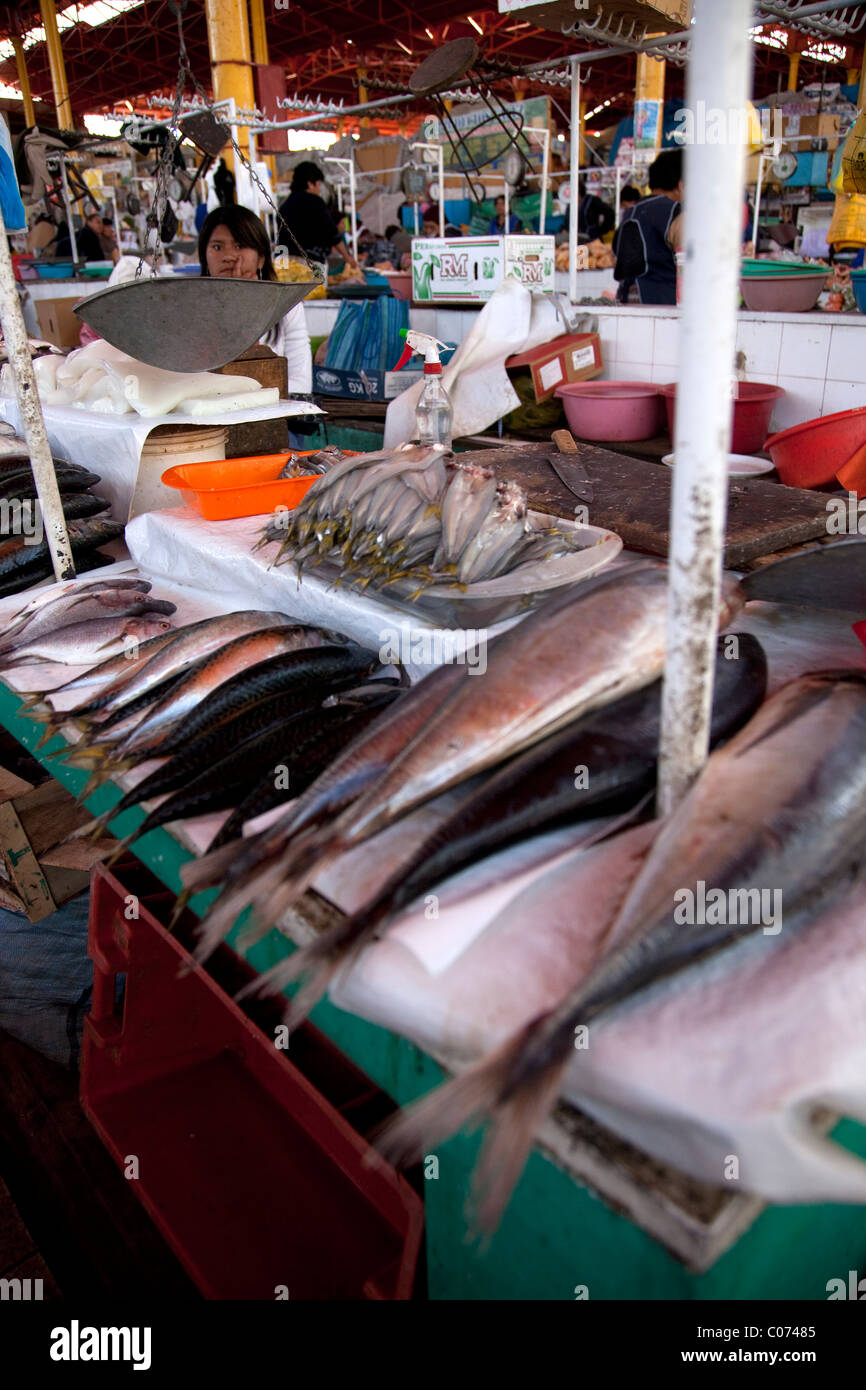 Arequipa, Peru Mercado de San Camilo, oder San Camilio Markt, wo Produkte aus ganzen südlichen Peru gesehen werden kann. Stockfoto