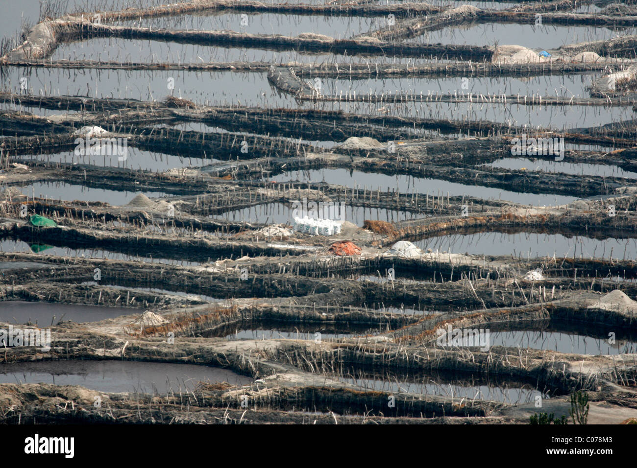 Salzgewinnung im See Katwe in der Nähe von Queen Elizabeth National Park, Westuganda Stockfoto