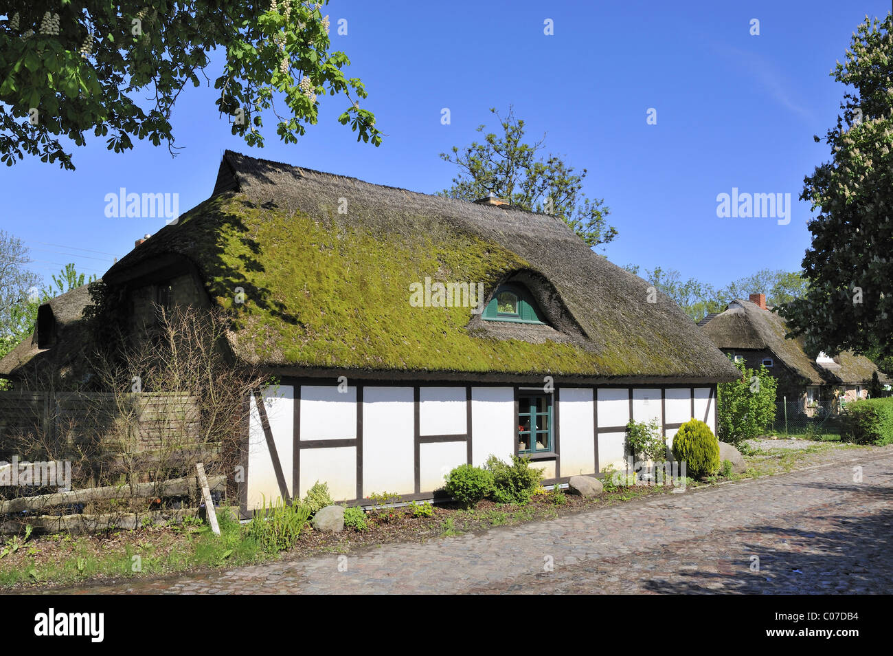 Traditionellen niederdeutschen gebaute Halle Haus in einem Dorf Straße in Sagard, Insel Rügen, Mecklenburg-Vorpommern Stockfoto