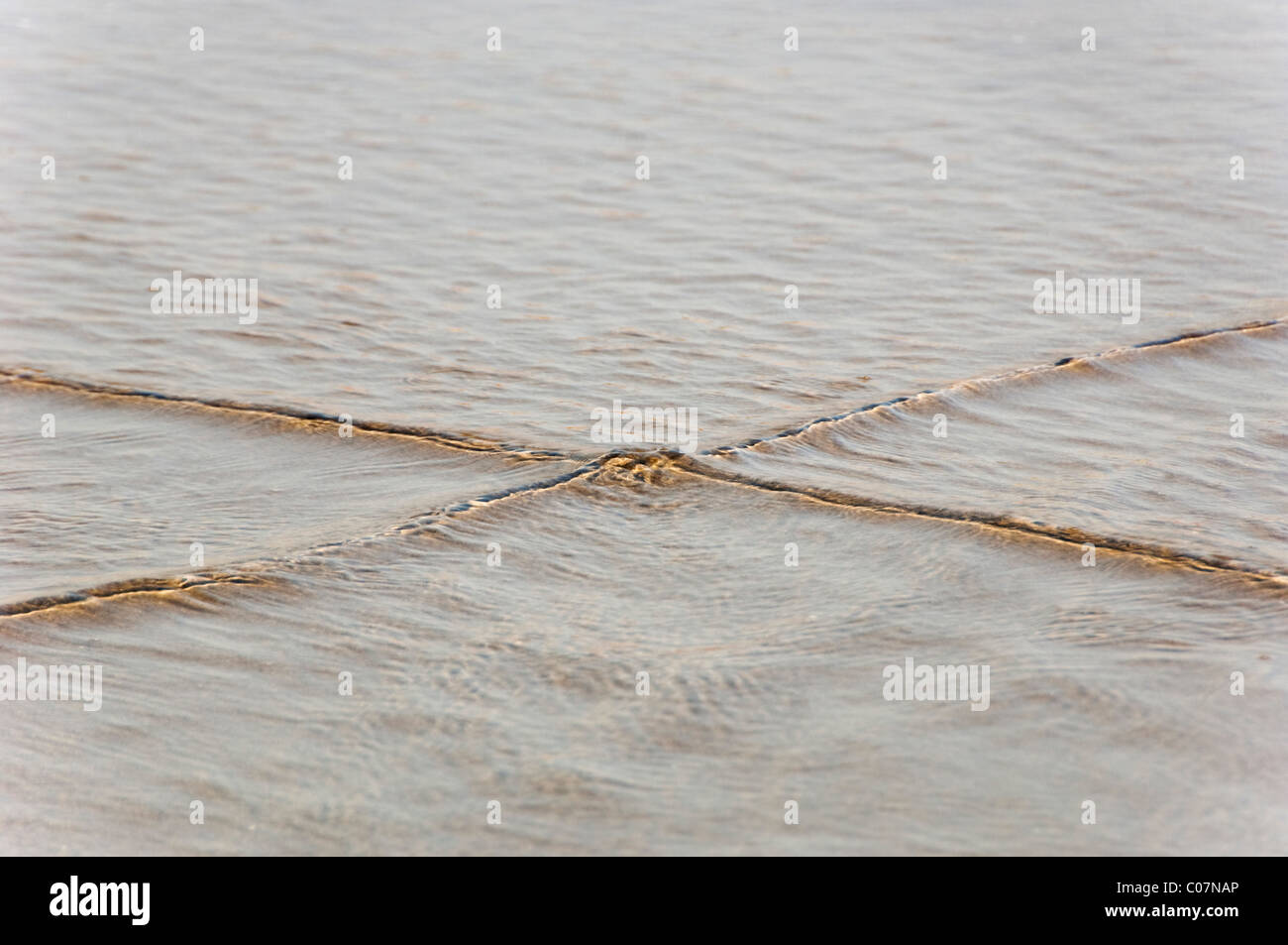 Marker-Seil im Meer, Goa, Indien Stockfoto