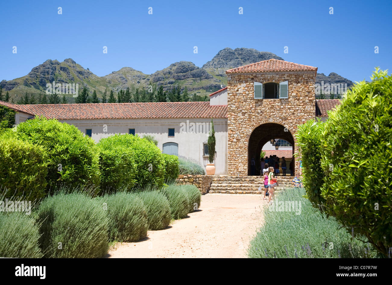 Waterford-Weingut Stockfoto