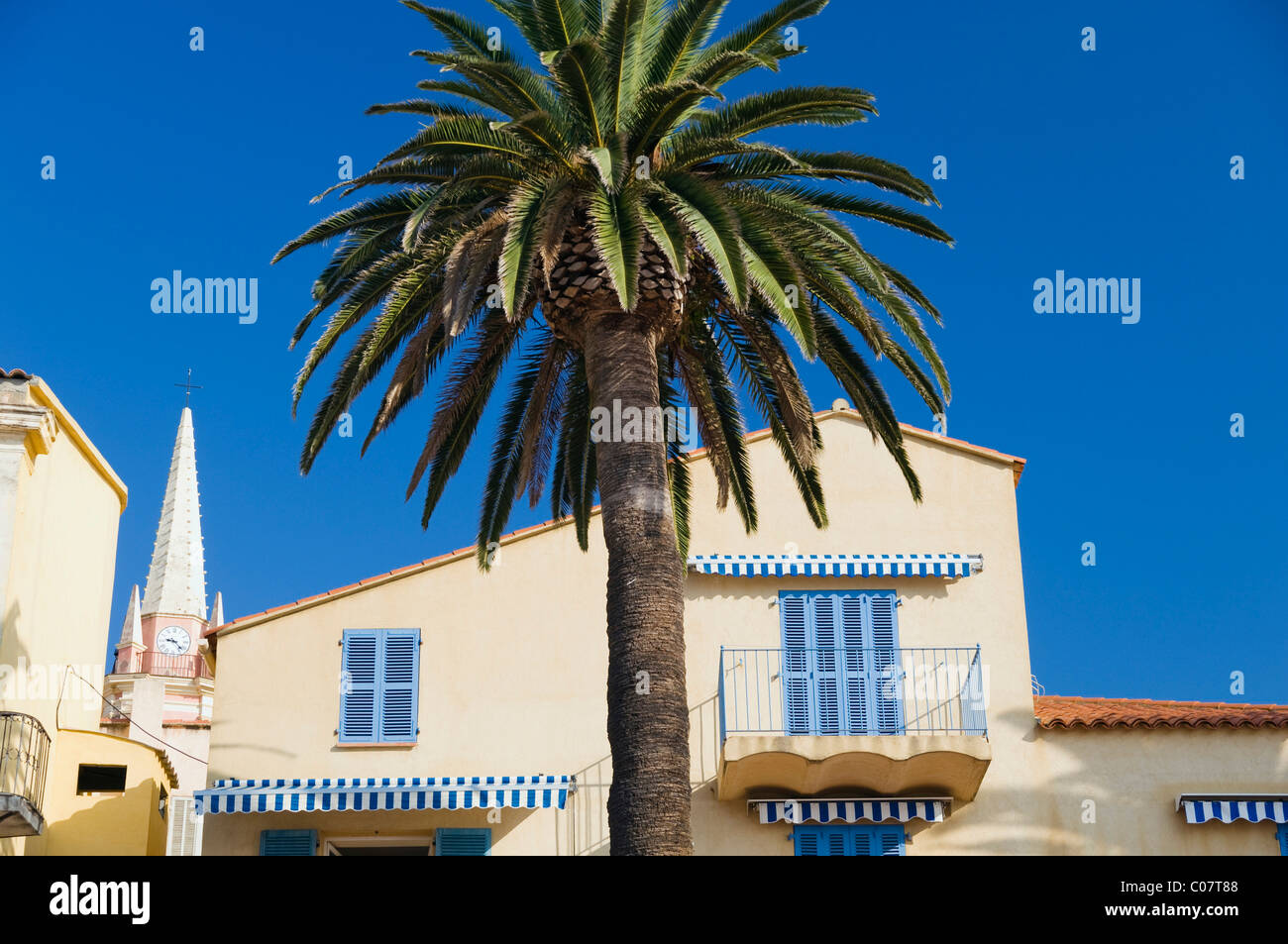 Balkon mit Palm, Calvi, Balagne, Korsika, Frankreich Stockfoto