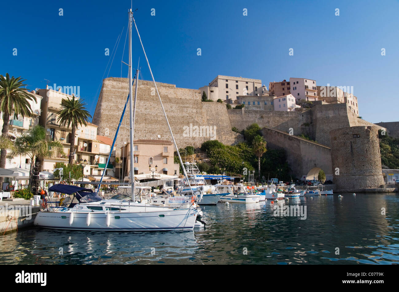 Hafen und die Zitadelle von Calvi, Balagne, Korsika, Frankreich, Europa Stockfoto